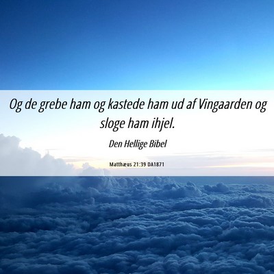 Picture 06 - Matthæus 21:39 DA1871 - Og de grebe ham og kastede ham ud af Vingaarden - Bible Verse Picture