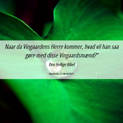 Picture 06 - Matthæus 21:40 DA1871 - Naar da Vingaardens Herre kommer, hvad vil han - Bible Verse Picture