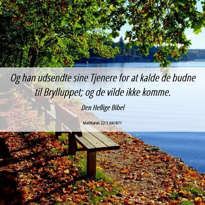 Picture 06 - Matthæus 22:3 DA1871 - Og han udsendte sine Tjenere for at kalde de - Bible Verse Picture