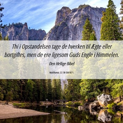 Picture 06 - Matthæus 22:30 DA1871 - Thi i Opstandelsen tage de hverken til Ægte - Bible Verse Picture