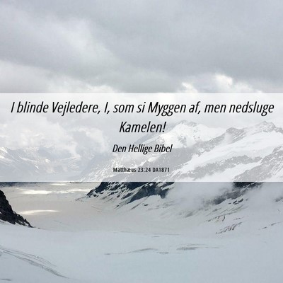 Picture 06 - Matthæus 23:24 DA1871 - I blinde Vejledere, I, som si Myggen af, men - Bible Verse Picture