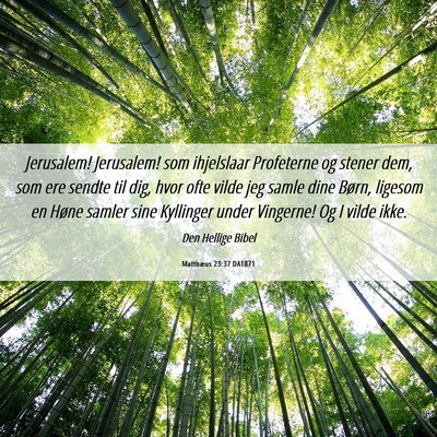 Picture 06 - Matthæus 23:37 DA1871 - Jerusalem! Jerusalem! som ihjelslaar Profeterne - Bible Verse Picture