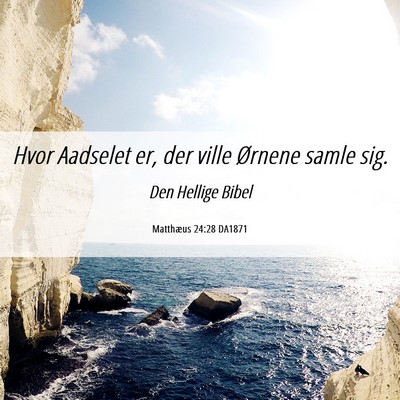 Picture 06 - Matthæus 24:28 DA1871 - Hvor Aadselet er, der ville Ørnene samle - Bible Verse Picture