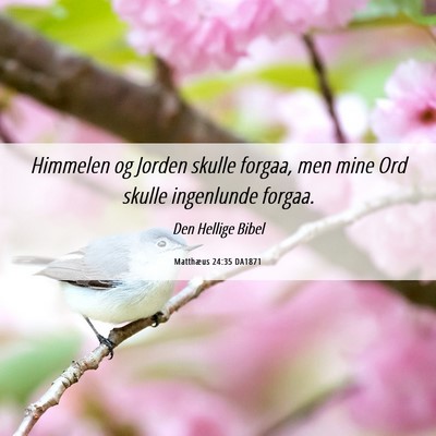 Picture 06 - Matthæus 24:35 DA1871 - Himmelen og Jorden skulle forgaa, men mine Ord - Bible Verse Picture