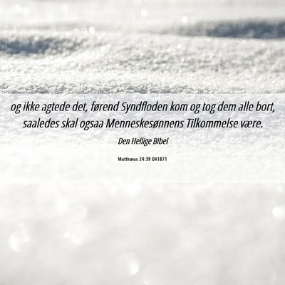 Picture 06 - Matthæus 24:39 DA1871 - og ikke agtede det, førend Syndfloden kom og tog - Bible Verse Picture
