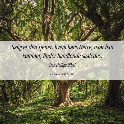Picture 06 - Matthæus 24:46 DA1871 - Salig er den Tjener, hvem hans Herre, naar han - Bible Verse Picture