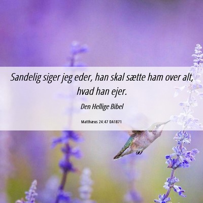 Picture 06 - Matthæus 24:47 DA1871 - Sandelig siger jeg eder, han skal sætte ham over - Bible Verse Picture