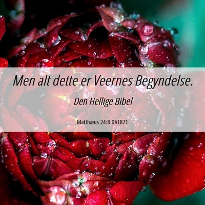 Picture 06 - Matthæus 24:8 DA1871 - Men alt dette er Veernes - Bible Verse Picture