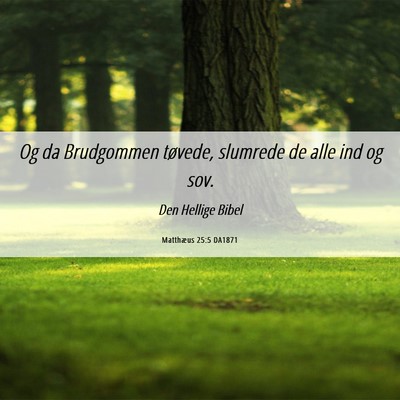 Picture 06 - Matthæus 25:5 DA1871 - Og da Brudgommen tøvede, slumrede de alle ind og - Bible Verse Picture