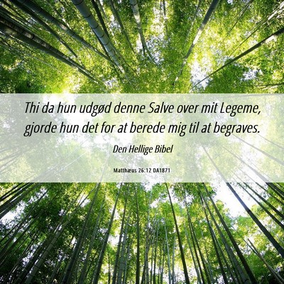 Picture 06 - Matthæus 26:12 DA1871 - Thi da hun udgød denne Salve over mit Legeme, - Bible Verse Picture