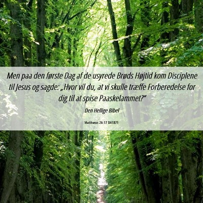 Picture 06 - Matthæus 26:17 DA1871 - Men paa den første Dag af de usyrede Brøds - Bible Verse Picture