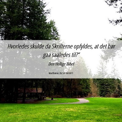 Picture 06 - Matthæus 26:54 DA1871 - Hvorledes skulde da Skrifterne opfyldes, at det - Bible Verse Picture