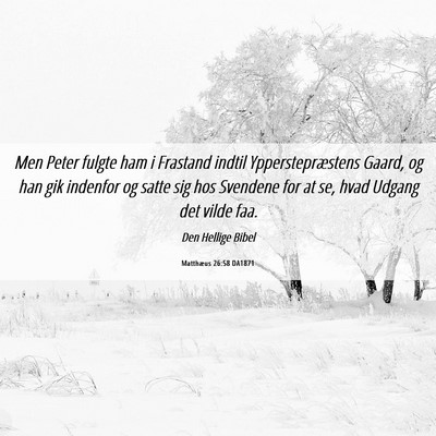 Picture 06 - Matthæus 26:58 DA1871 - Men Peter fulgte ham i Frastand indtil - Bible Verse Picture