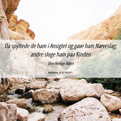 Picture 06 - Matthæus 26:67 DA1871 - Da spyttede de ham i Ansigtet og gave ham - Bible Verse Picture