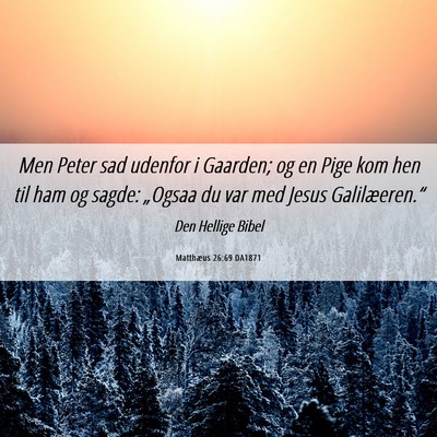 Picture 06 - Matthæus 26:69 DA1871 - Men Peter sad udenfor i Gaarden; og en Pige kom - Bible Verse Picture