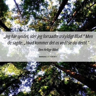 Picture 06 - Matthæus 27:4 DA1871 - „Jeg har syndet, idet jeg forraadte uskyldigt - Bible Verse Picture