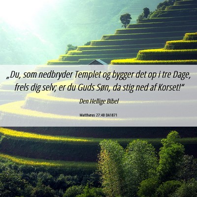 Picture 06 - Matthæus 27:40 DA1871 - „Du, som nedbryder Templet og bygger det op i - Bible Verse Picture