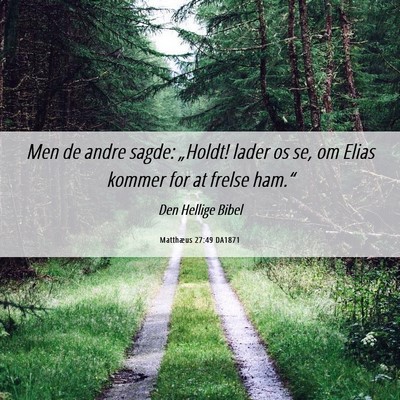Picture 06 - Matthæus 27:49 DA1871 - Men de andre sagde: „Holdt! lader os se, om - Bible Verse Picture