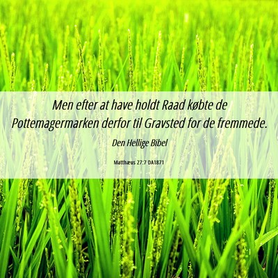 Picture 06 - Matthæus 27:7 DA1871 - Men efter at have holdt Raad købte de - Bible Verse Picture