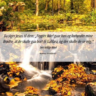 Picture 06 - Matthæus 28:10 DA1871 - Da siger Jesus til dem: „Frygter ikke! gaar hen - Bible Verse Picture
