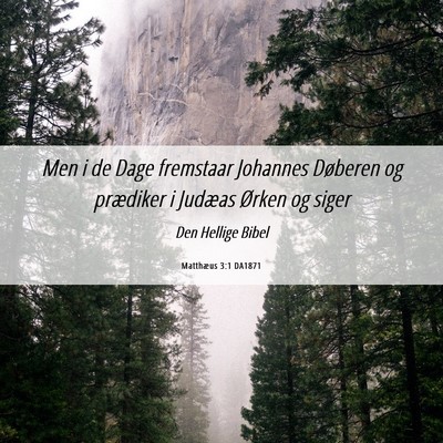 Picture 06 - Matthæus 3:1 DA1871 - Men i de Dage fremstaar Johannes Døberen og - Bible Verse Picture
