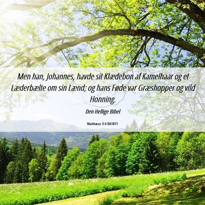 Picture 06 - Matthæus 3:4 DA1871 - Men han, Johannes, havde sit Klædebon af - Bible Verse Picture