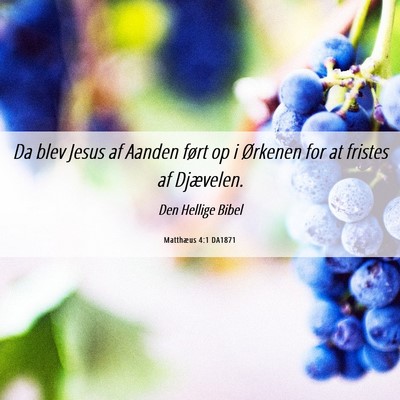 Picture 06 - Matthæus 4:1 DA1871 - Da blev Jesus af Aanden ført op i Ørkenen for - Bible Verse Picture