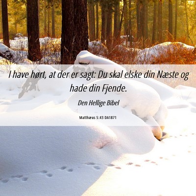 Picture 06 - Matthæus 5:43 DA1871 - I have hørt, at der er sagt: Du skal elske din - Bible Verse Picture