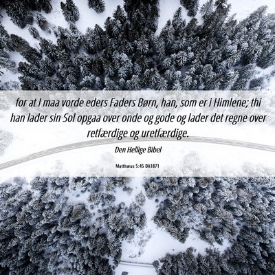 Picture 06 - Matthæus 5:45 DA1871 - for at I maa vorde eders Faders Børn, han, som - Bible Verse Picture