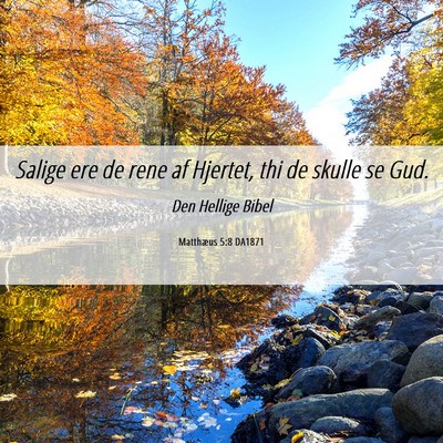 Picture 06 - Matthæus 5:8 DA1871 - Salige ere de rene af Hjertet, thi de skulle se - Bible Verse Picture