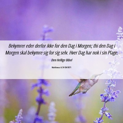 Picture 06 - Matthæus 6:34 DA1871 - Bekymrer eder derfor ikke for den Dag i Morgen; - Bible Verse Picture
