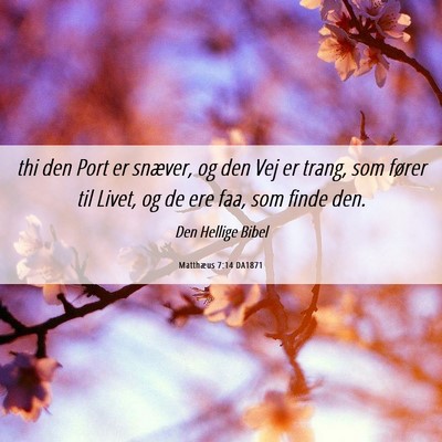 Picture 06 - Matthæus 7:14 DA1871 - thi den Port er snæver, og den Vej er trang, som - Bible Verse Picture