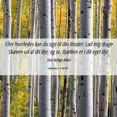Picture 06 - Matthæus 7:4 DA1871 - Eller hvorledes kan du sige til din Broder: Lad - Bible Verse Picture