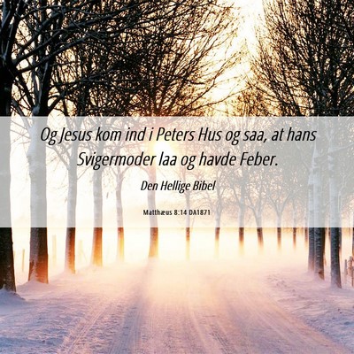 Picture 06 - Matthæus 8:14 DA1871 - Og Jesus kom ind i Peters Hus og saa, at hans - Bible Verse Picture