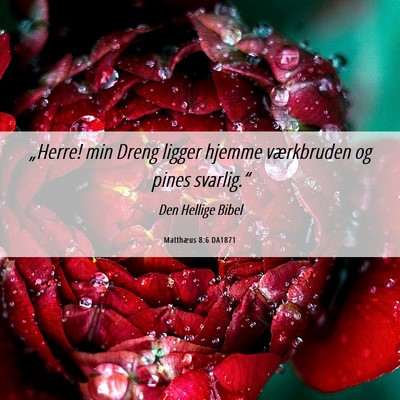 Picture 06 - Matthæus 8:6 DA1871 - „Herre! min Dreng ligger hjemme værkbruden og - Bible Verse Picture