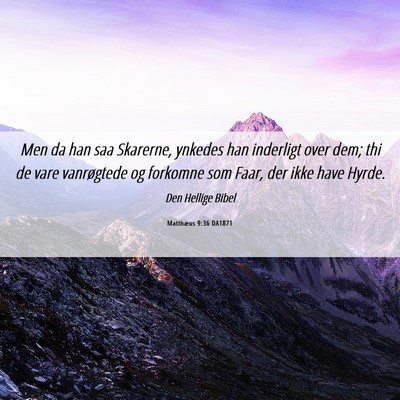 Picture 06 - Matthæus 9:36 DA1871 - Men da han saa Skarerne, ynkedes han inderligt - Bible Verse Picture