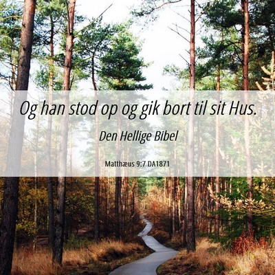 Picture 06 - Matthæus 9:7 DA1871 - Og han stod op og gik bort til sit - Bible Verse Picture