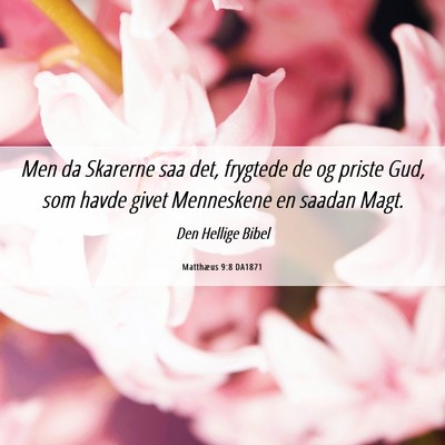 Picture 06 - Matthæus 9:8 DA1871 - Men da Skarerne saa det, frygtede de og priste - Bible Verse Picture