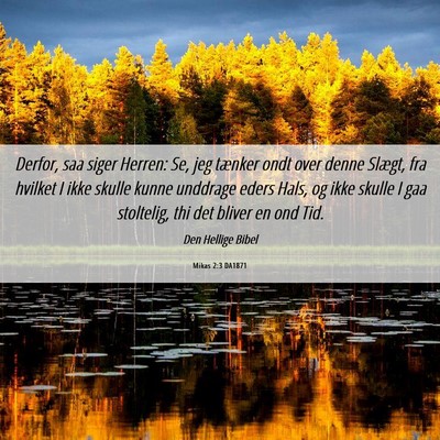 Picture 06 - Mikas 2:3 DA1871 - Derfor, saa siger Herren: Se, jeg tænker ondt - Bible Verse Picture