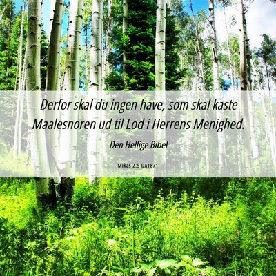 Picture 06 - Mikas 2:5 DA1871 - Derfor skal du ingen have, som skal kaste - Bible Verse Picture