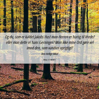 Picture 06 - Mikas 2:7 DA1871 - Og du, som er kaldet Jakobs Hus! mon Herren er - Bible Verse Picture