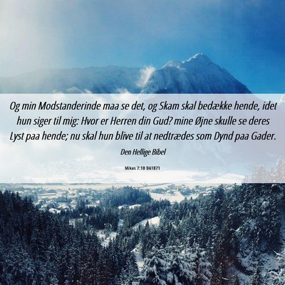 Picture 06 - Mikas 7:10 DA1871 - Og min Modstanderinde maa se det, og Skam skal - Bible Verse Picture