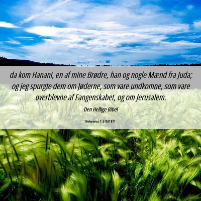 Picture 06 - Nehemias 1:2 DA1871 - da kom Hanani, en af mine Brødre, han og nogle - Bible Verse Picture