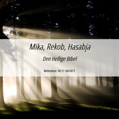 Picture 06 - Nehemias 10:11 DA1871 - Mika, Rekob, - Bible Verse Picture