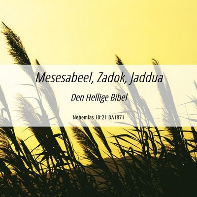 Picture 06 - Nehemias 10:21 DA1871 - Mesesabeel, Zadok, - Bible Verse Picture