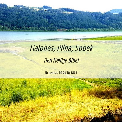 Picture 06 - Nehemias 10:24 DA1871 - Halohes, Pilha, - Bible Verse Picture