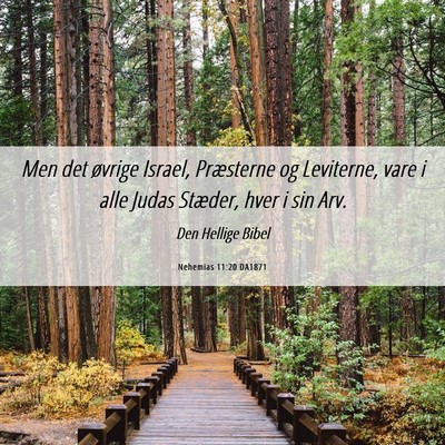 Picture 06 - Nehemias 11:20 DA1871 - Men det øvrige Israel, Præsterne og Leviterne, - Bible Verse Picture