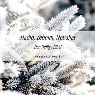 Picture 06 - Nehemias 11:34 DA1871 - Hadid, Zeboim, - Bible Verse Picture