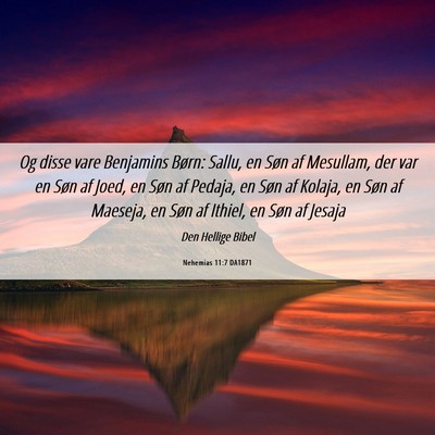 Picture 06 - Nehemias 11:7 DA1871 - Og disse vare Benjamins Børn: Sallu, en Søn af - Bible Verse Picture