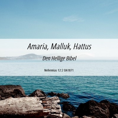 Picture 06 - Nehemias 12:2 DA1871 - Amaria, Malluk, - Bible Verse Picture